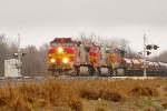 BNSF 714, 773 (Fakebonnets), 4637